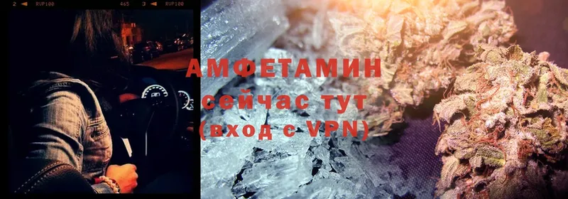 Amphetamine Premium  Владимир 